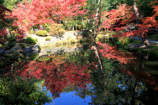 等持院 13紅葉だより34_e0048413_214815100.jpg