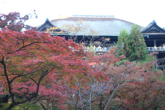 清水寺　13紅葉だより36_e0048413_2254841.jpg