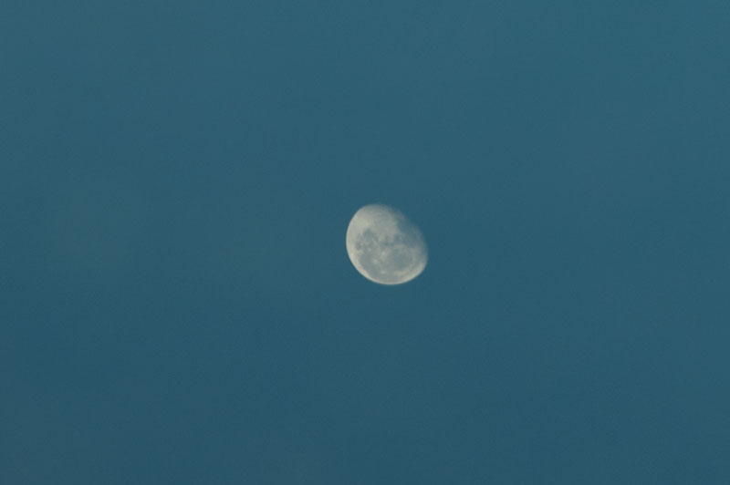 a0278914_10472643.jpg