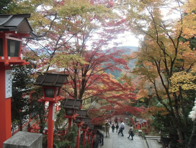 b0181015_196442.jpg