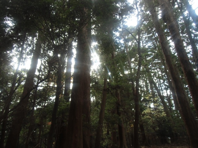 b0181015_1975744.jpg
