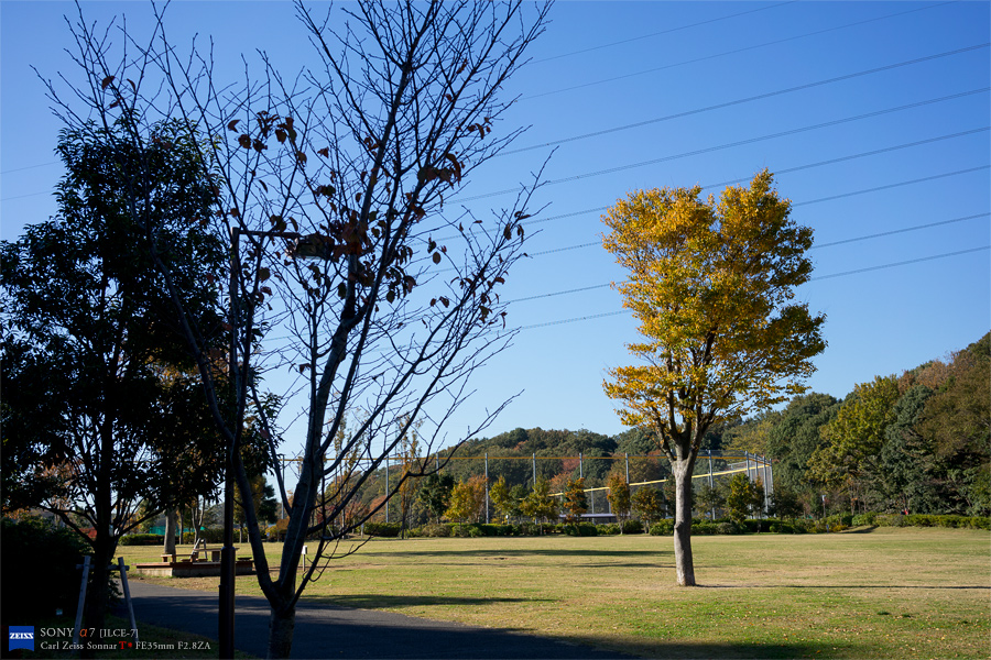 e0117517_1765337.jpg