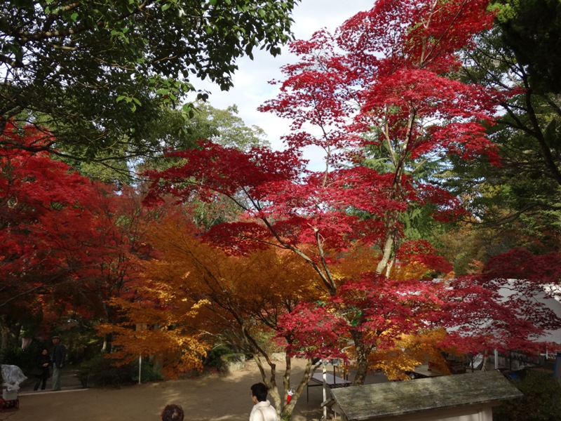 東行庵の紅葉・・・_c0042418_18278100.jpg