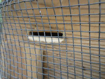 f0232920_11201486.gif