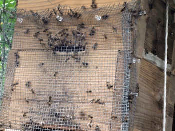 f0232920_11214258.gif