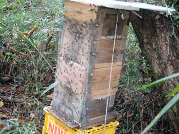 f0232920_11245047.gif