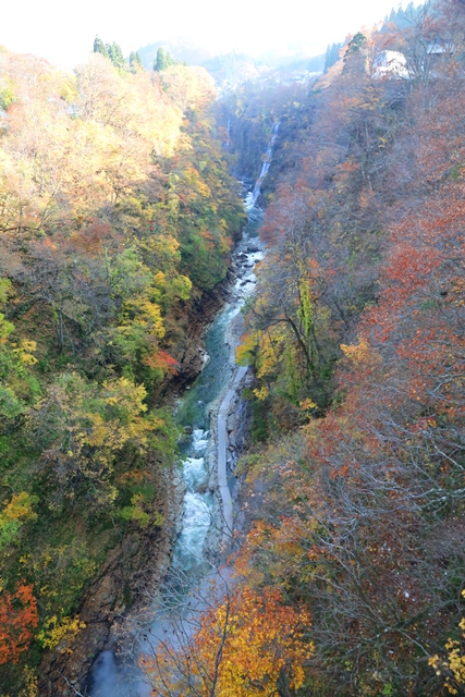 b0192121_1833537.jpg