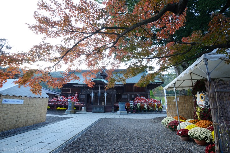 少林山達磨寺 ～紅葉～_d0319222_133361.jpg