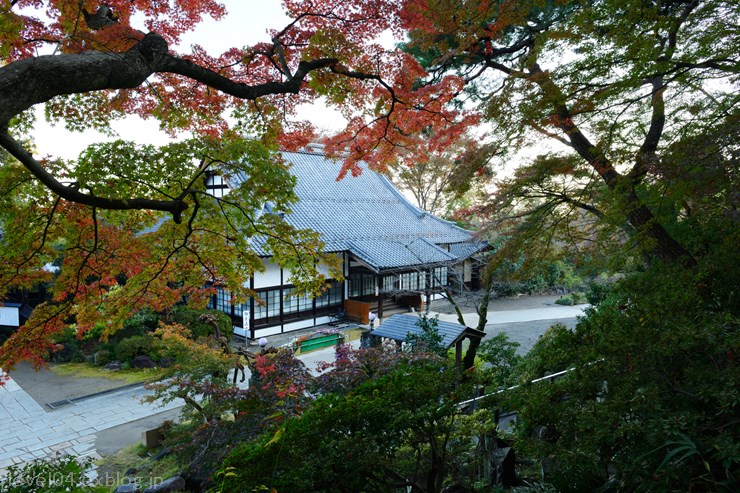 少林山達磨寺 ～紅葉～_d0319222_133637.jpg