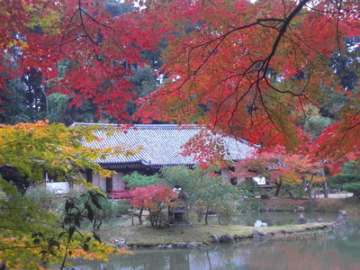 a0238324_0113163.jpg