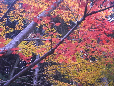 a0238324_0123688.jpg