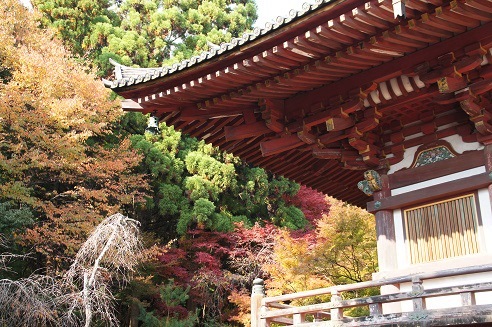 かわらけ投げ　　～神護寺（京都）～_c0235725_23492032.jpg