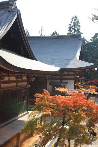 かわらけ投げ　　～神護寺（京都）～_c0235725_23544164.jpg