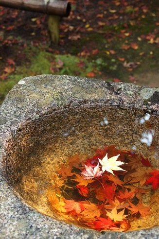 かわらけ投げ　　～神護寺（京都）～_c0235725_2358244.jpg