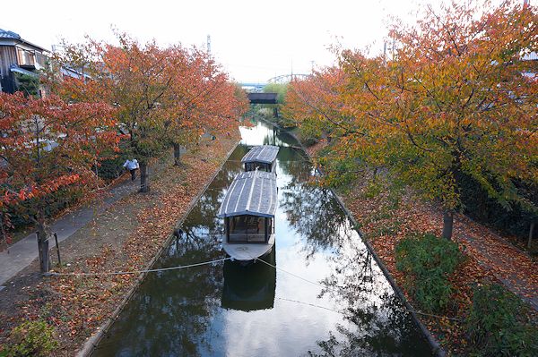 洛南～洛西紅葉ポタリング_f0007926_09345529.jpg