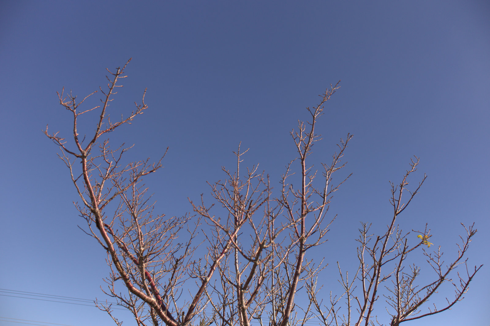 e0253132_9315969.jpg