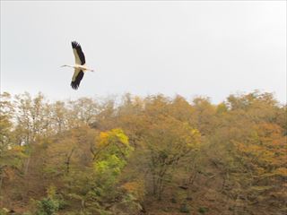 f0224632_13078.jpg