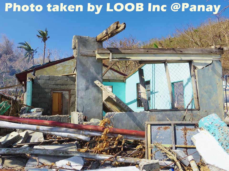 パナイ島被災地で初期調査を行いました11/14　_d0146933_16345153.jpg