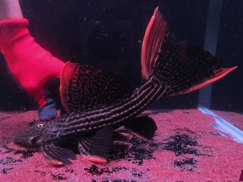 f0304633_17473058.jpg