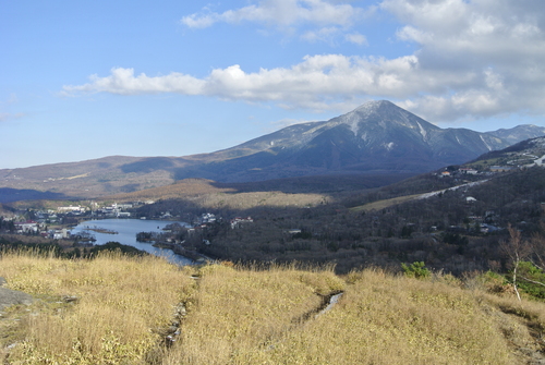 d0170835_1623691.jpg