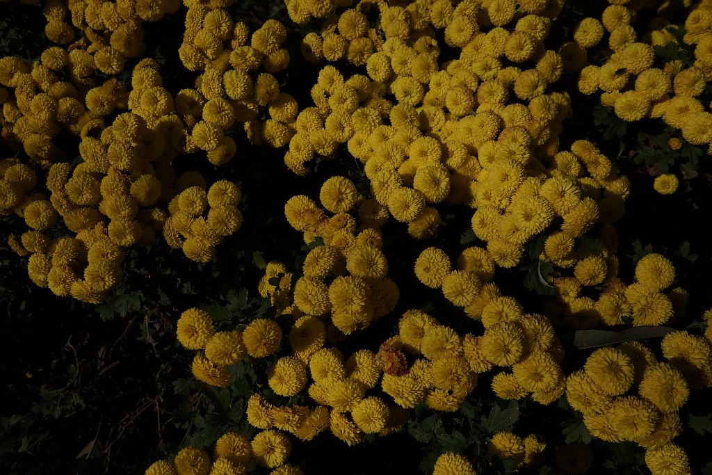 c0243343_21403350.jpg