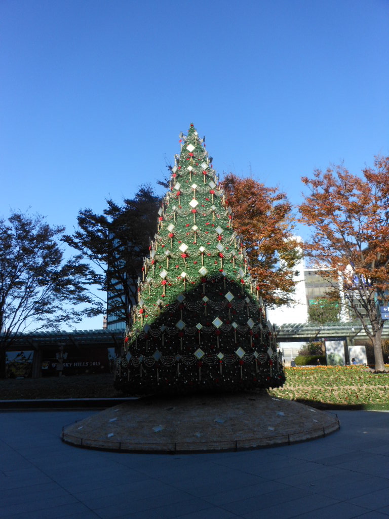 c0122744_11553.jpg