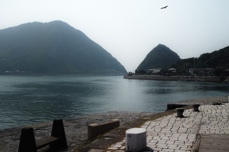 f0002946_21030725.jpg