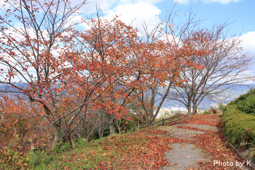 c0127748_1742029.jpg