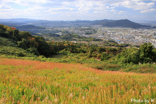 c0127748_1751438.jpg