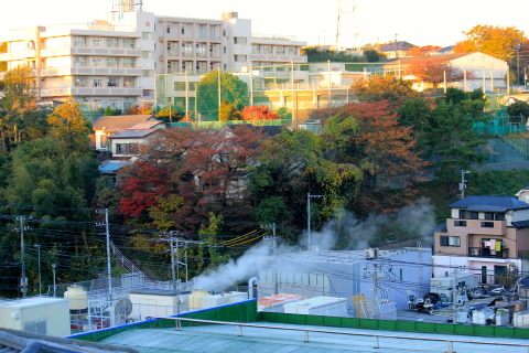 a0248459_16283977.jpg