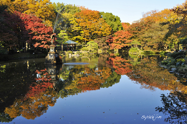 『 日比谷公園 』　虹がでてるぅ〜〜！_d0251161_952249.jpg