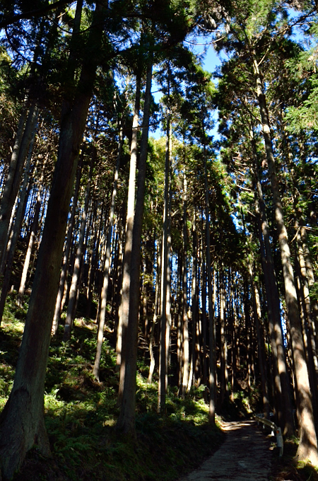 f0065768_17223863.jpg