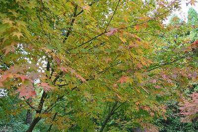 d0240469_1143835.jpg
