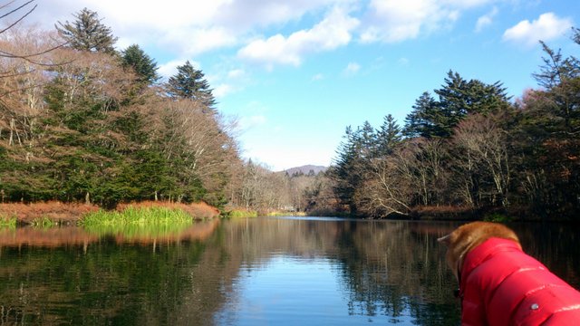 b0274270_11777.jpg