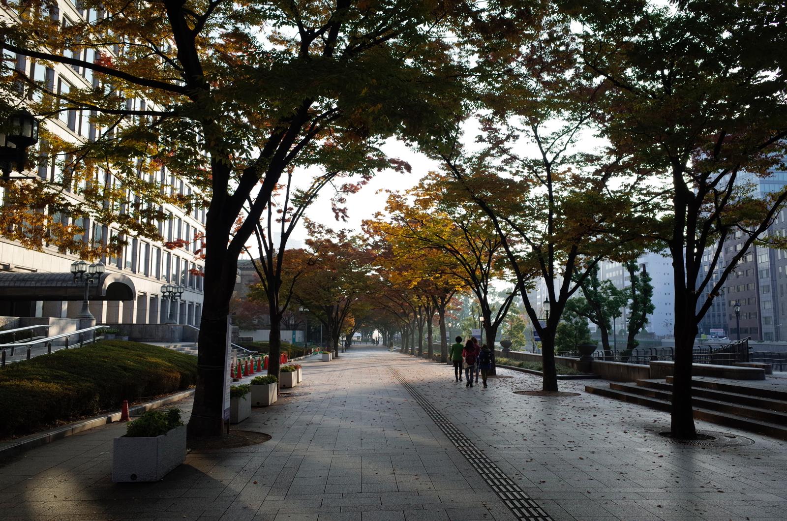 c0177576_2151554.jpg
