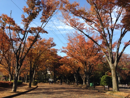 c0205379_2273080.jpg