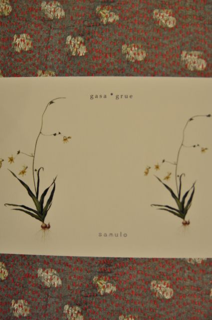 イベントのお知らせ … gasa , samulo …_b0110582_18201929.jpg