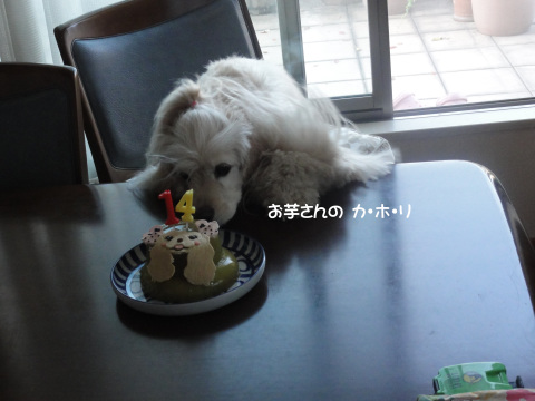 f0218182_14541519.jpg