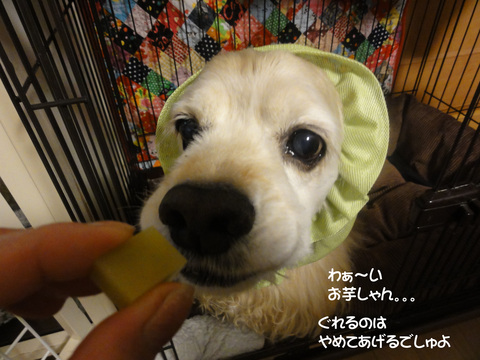 f0218182_15414297.jpg