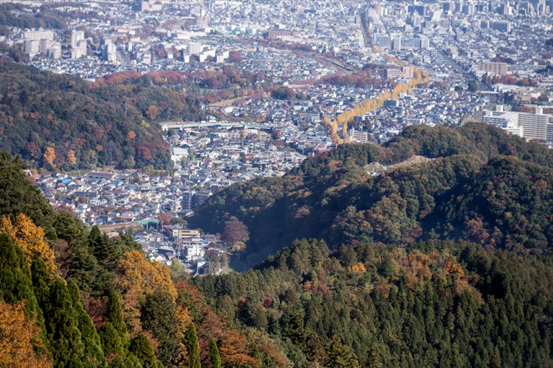 e0305388_18353761.jpg