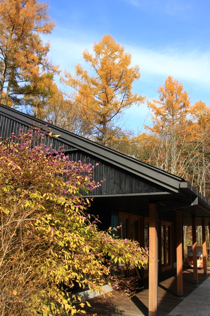 e0177190_23351521.jpg