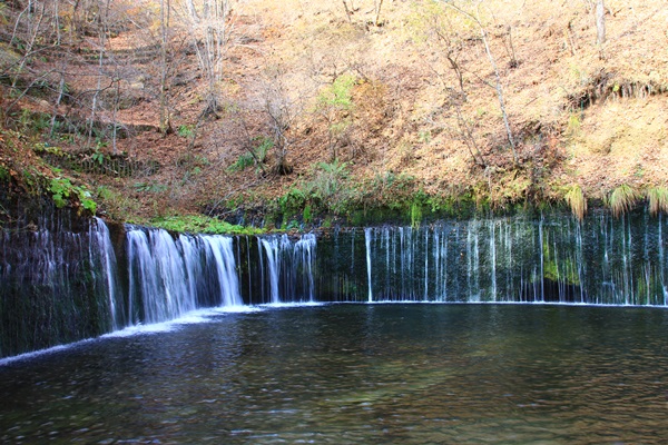 e0177190_234243.jpg