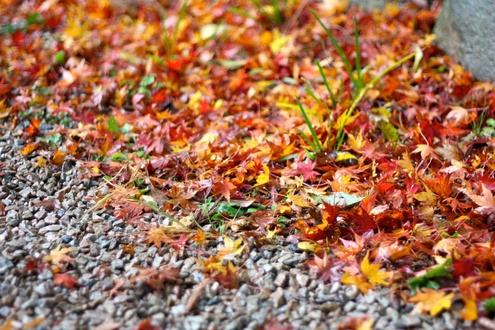 c0212691_21563331.jpg