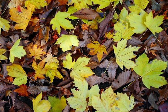 b0255992_1157111.jpg