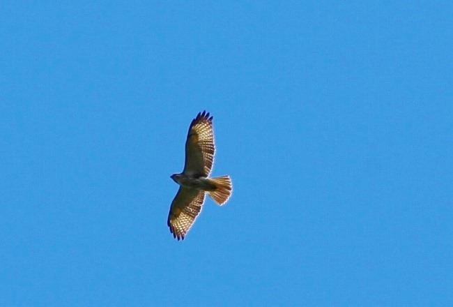 b0255992_132614.jpg