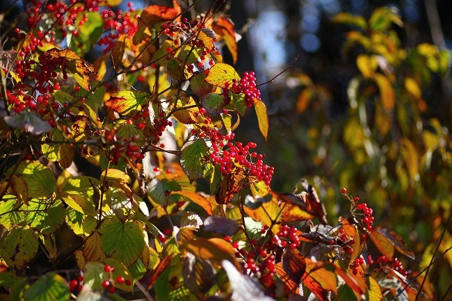 b0255992_1383786.jpg