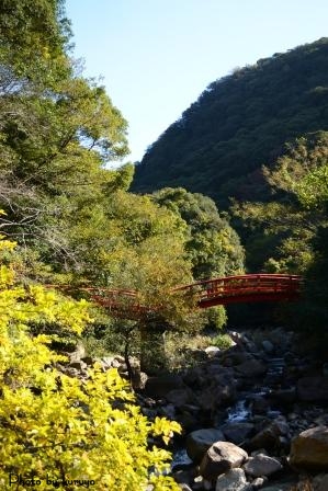 紅葉フォトin太山寺　その①_c0239392_922333.jpg