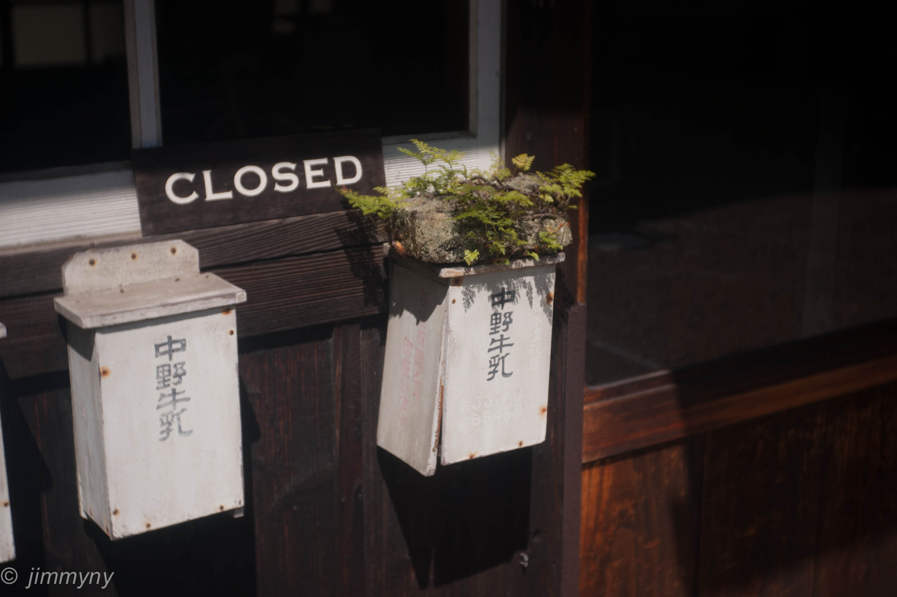 Native Works / Nara Todaiji area 2_d0283492_2213782.jpg