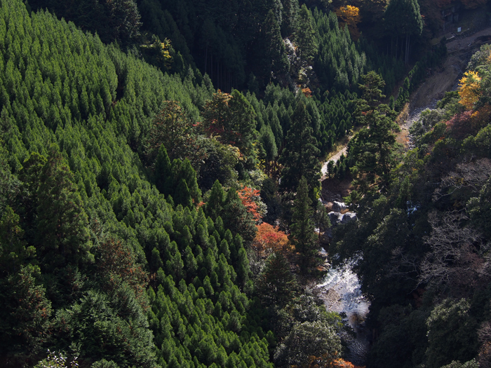 f0001895_20121658.jpg