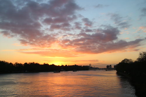 c0090198_41259.jpg
